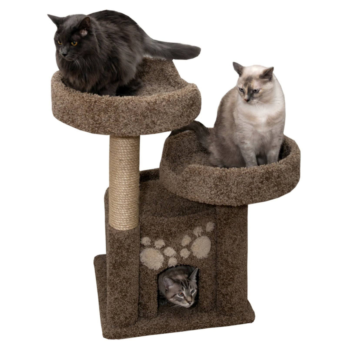Arbre à chat New Cat Condos à double perchoir en bois massif (marron)