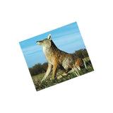 Appeau à coyote Flambeau Lone Howler