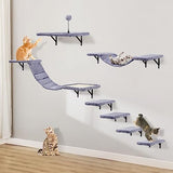 Ensemble de parcours mural pour chat avec étagères, perchoirs, pont, hamac, griffoir et balle – Meubles pour chat d'intérieur en bois, 7 pièces, pour jeu de chatons (beige)