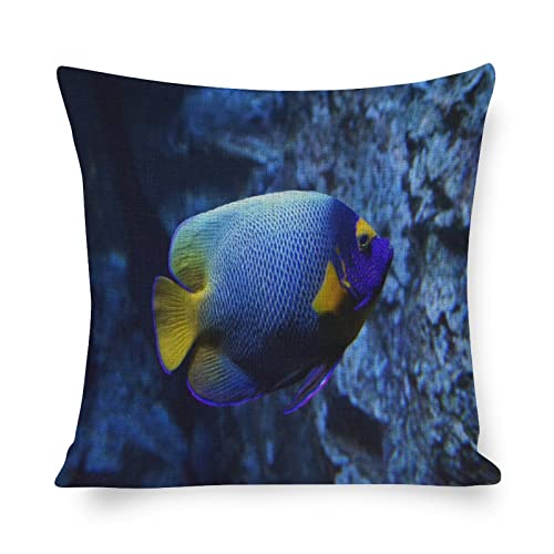 Housse de coussin motif étoiles de mer, fermeture éclair, monde sous-marin, poissons, nautique, océan, 45 x 45 cm, pour canapé, terrasse, décoration intérieure