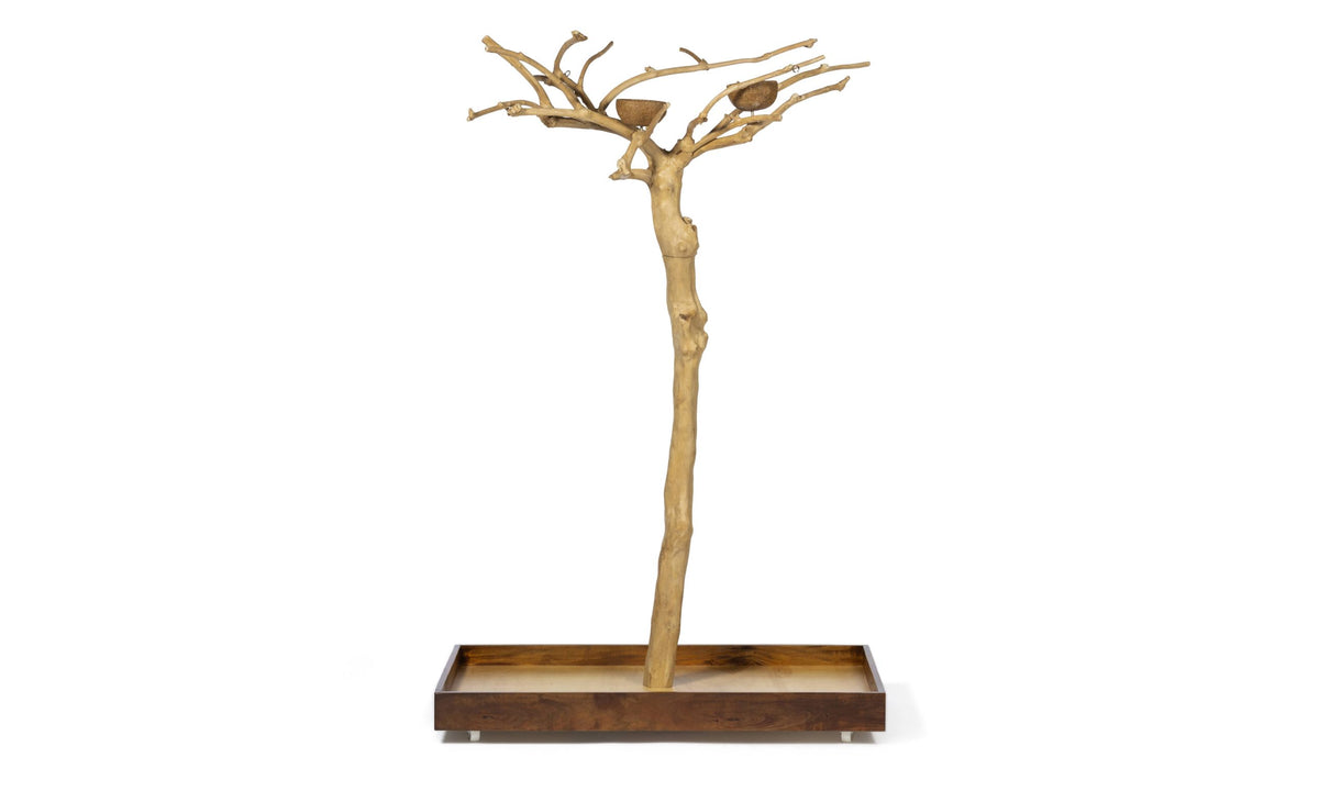 Perchoir sur pied pour oiseaux Prevue Pet Products, style arbre en bois de caféier, modèle nº 2, petit