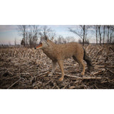 Appeau à coyote Flambeau Lone Howler