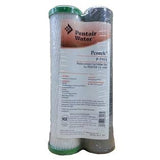 Ensemble de filtres de rechange Pentek P-250 / P-250A 15583244