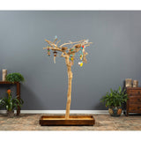 Perchoir sur pied pour oiseaux Prevue Pet Products, style arbre en bois de caféier, modèle nº 2, petit