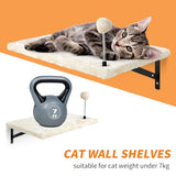Ensemble de parcours mural pour chat avec étagères, perchoirs, pont, hamac, griffoir et balle – Meubles pour chat d'intérieur en bois, 7 pièces, pour jeu de chatons (beige)
