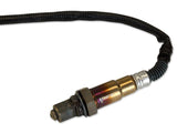 Manomètre contrôleur de sonde lambda large bande AEM 30-0334 série X