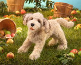 Marionnette Folkmanis – Labradoodle
