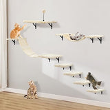 Ensemble de parcours mural pour chat avec étagères, perchoirs, pont, hamac, griffoir et balle – Meubles pour chat d'intérieur en bois, 7 pièces, pour jeu de chatons (beige)