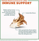 Système de production de sulforaphane Avmacol Extra Strength pour le soutien immunitaire, 75 comprimés